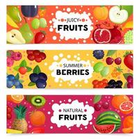 conjunto de banners com frutas naturais vetor