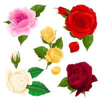 conjunto de flores rosa realista vetor