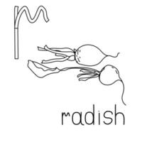 página para colorir frutas e vegetais abc, letra r - rabanete, cartão para colorir educado vetor