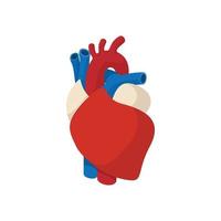 ícone de desenho animado de coração humano vetor