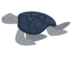 animal de vida marinha tartaruga vetor
