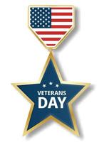 logotipo do ícone da estrela do dia dos veteranos, estilo realista vetor
