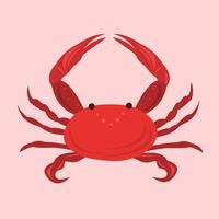 ilustração vetorial de caranguejo de frutos do mar vermelho para design gráfico e elemento decorativo vetor