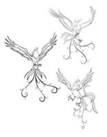 ilustração vetorial de símbolo de águia vetor