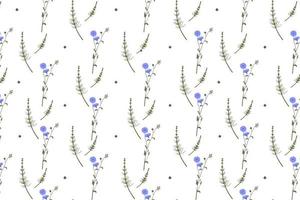 ervas selvagens e flores padrão colorido sem costura com chicória, cavalinha, ilustração vetorial em fundo branco para design na tela ou impresso em papel ou tecido vetor