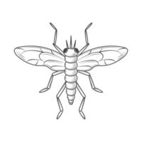 ícone de inseto gafanhoto vetor