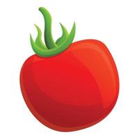 ícone de comida de tomate, estilo cartoon vetor