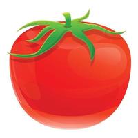 ícone de tomate eco vermelho, estilo cartoon vetor