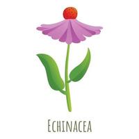 ícone da flor echinacea, estilo cartoon vetor