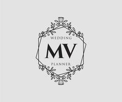 coleção de logotipos de monograma de casamento de letra mv, modelos modernos minimalistas e florais desenhados à mão para cartões de convite, salve a data, identidade elegante para restaurante, boutique, café em vetor