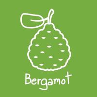 vetor de bergamota. papel de parede. espaço livre para texto. copie o espaço. design de logotipo. símbolo de bergamota. sinal.
