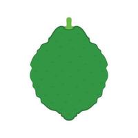 vetor de bergamota. papel de parede. espaço livre para texto. copie o espaço. design de logotipo. símbolo de bergamota. sinal.
