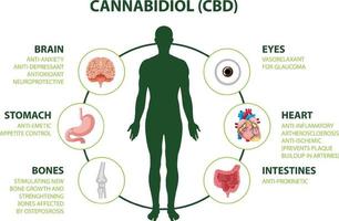 benefícios do CBD para o diagrama de saúde física vetor