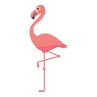 natureza flamingo ícone dos desenhos animados do vetor. pássaro rosa vetor