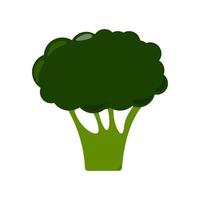 desenhos animados saudáveis dos vegetais dos brócolis verdes no fundo branco. ilustração vetorial. eps 10