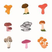 ilustração de cogumelo raster. cogumelos úteis. ícones chanterelle, russule, talo atarracado, ostra. vetor