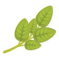 vetor de desenhos animados de ícone de orégano orgânico. folha de erva