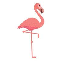 vetor de desenhos animados de ícone de pássaro flamingo. lindo pássaro rosa