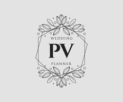 coleção de logotipos de monograma de casamento de carta de iniciais pv, modelos modernos minimalistas e florais desenhados à mão para cartões de convite, salve a data, identidade elegante para restaurante, boutique, café em vetor