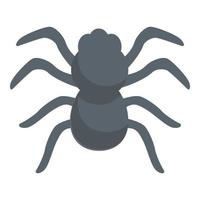 vetor de desenhos animados do ícone do inseto aranha. animal viúva