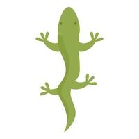 vetor de desenhos animados de ícone de salamandra argentina. viagem américa