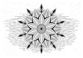 Livre de Ilustração Mandala Vector