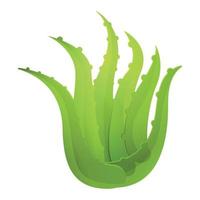 ícone da planta aloe vera, estilo cartoon vetor