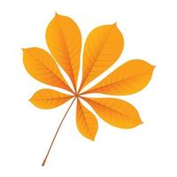 ícone de folha de castanha de outono, estilo simples