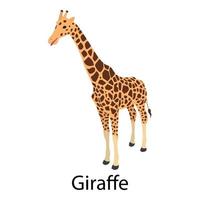 ícone de girafa, estilo isométrico vetor