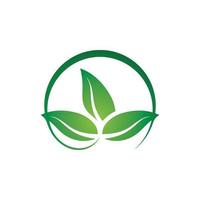 logotipos da ecologia de folhas verdes vetor