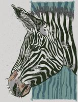 a ilustração desenhada à mão de cabeça de zebra selvagem