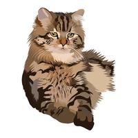 gato siberiano, ilustração vetorial de gato de bengala adequada para decoração de parede vetor