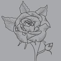 rosa desenhada à mão vetor