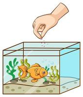 mão alimentando peixinho dourado no tanque vetor