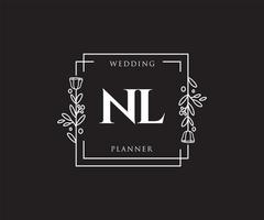 logotipo feminino nl inicial. utilizável para logotipos de natureza, salão, spa, cosméticos e beleza. elemento de modelo de design de logotipo de vetor plana.