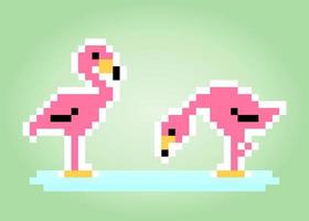 flamingo de pixel de 8 bits. pássaros em ilustrações vetoriais. vetor