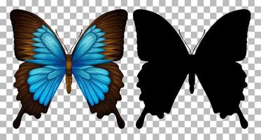 borboleta azul e sua silhueta vetor