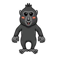 bonito desenho animado de macaco preto com crista vetor