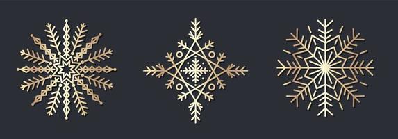 conjunto de ornamento decorativo de flocos de neve de ouro vetor
