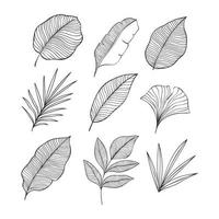 conjunto de elemento de folhas tropicais desenhadas à mão. ilustração vetorial isolada no fundo branco vetor