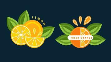 conjunto de emblemas, distintivos com laranja, limão, folhas verdes, fatias de frutas. bom para decoração de embalagens de alimentos, mantimentos, lojas agrícolas, publicidade. estilo simples vetor