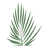 ícone de folha de palmeira areca, estilo cartoon vetor