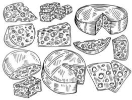 conjunto de esboço de queijo. coleção de rabiscos vetoriais de pedaços e fatias de queijo vetor