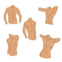 definir ícones de tronco muscular isolados no fundo branco. ilustração em vetor estoque símbolo esporte e fitness.