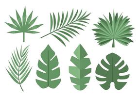 Palmeira Tropical livre Leaves Vector