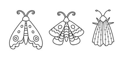 coleção de borboletas de rabiscos vetor