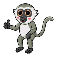 desenho de macaco vervet bonitinho desistindo de polegar para cima vetor