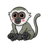 desenho de macaco vervet bonitinho sentado vetor