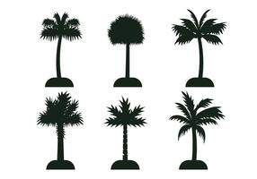 Palmetto tree vector silhouette