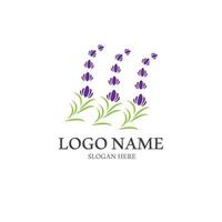 vetor de logotipo de ícone de flor de lavanda fresca